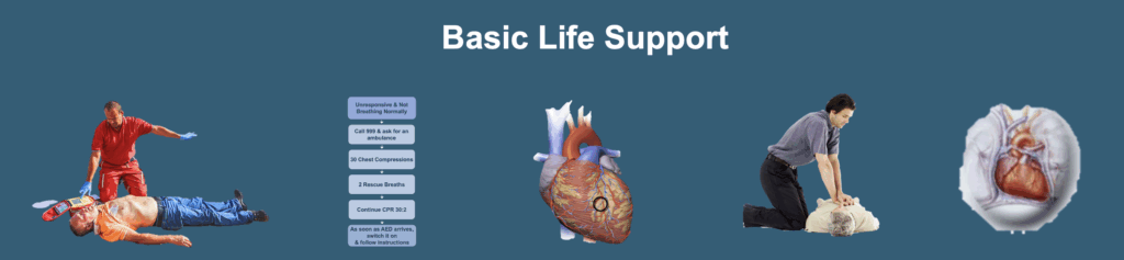 Basic life support image