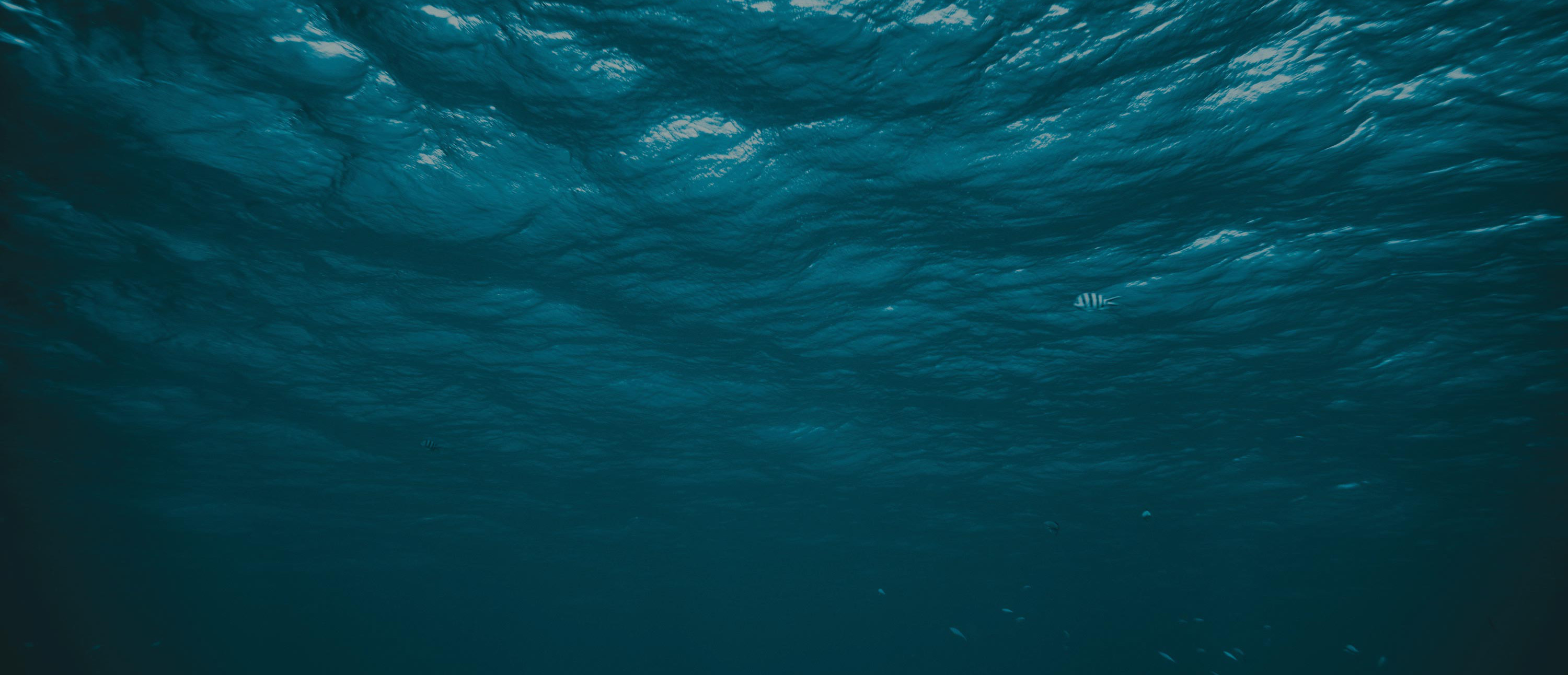 Ocean image